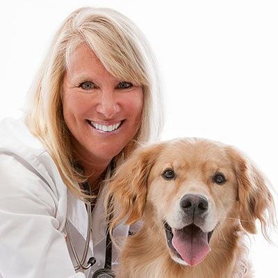 Dr. Sue Hornemann - North Oakville Animal Hospital
